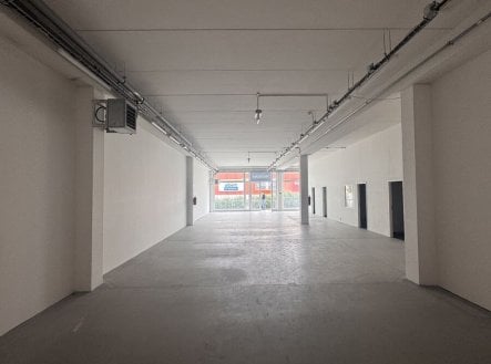 Pronájem obchodní prostory, 334 m²