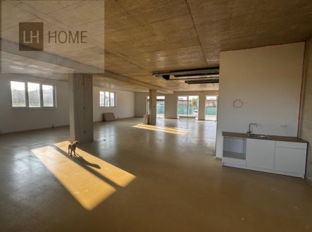 Pronájem obchodní prostory, 160 m²