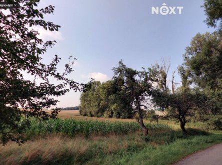 Prodej pozemku, zemědělská půda, 6 011 m²