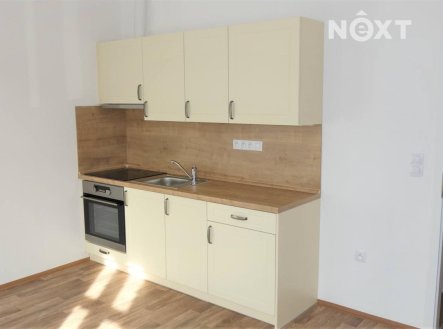 Pronájem bytu, 1+kk, 24 m²
