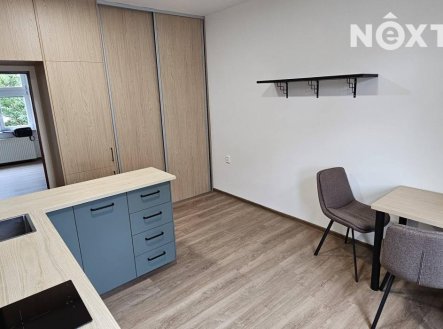 Pronájem bytu, 2+1, 48 m²