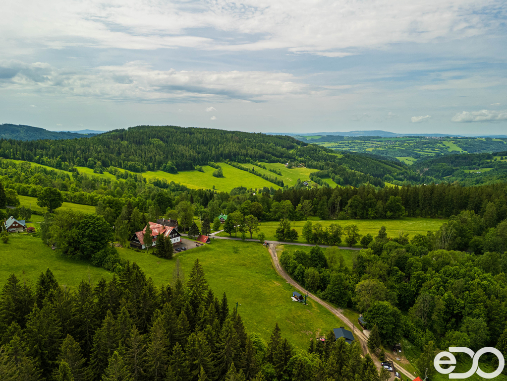 dji-20250601114435-0212-d.jpg