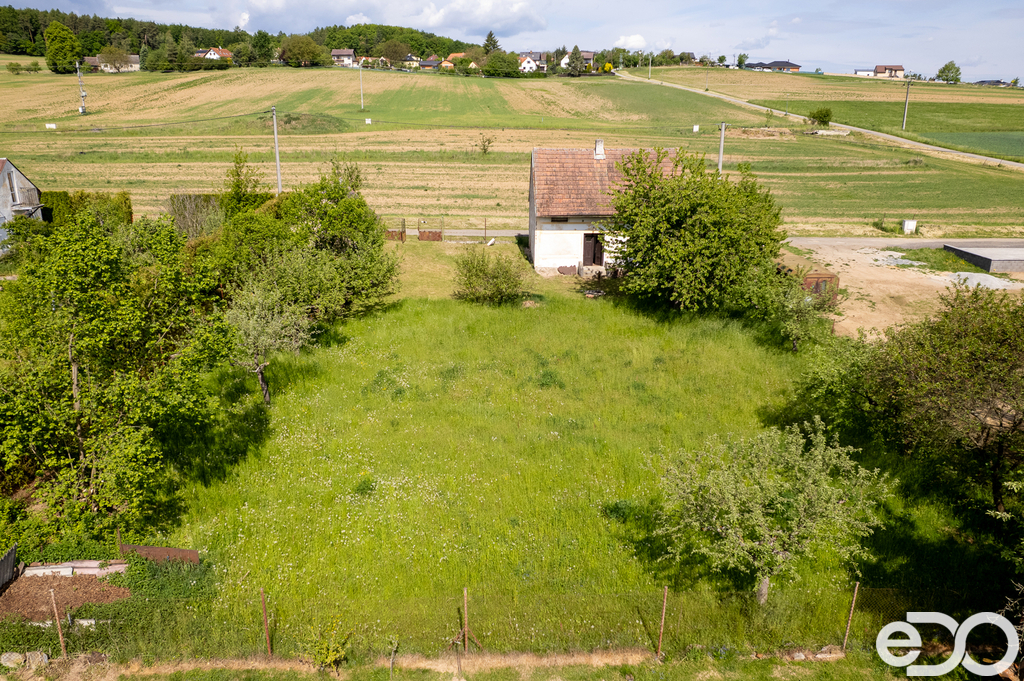 dji-0081.jpg