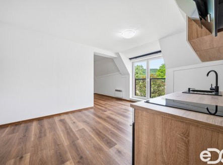 Prodej bytu, 1+kk, 46 m²