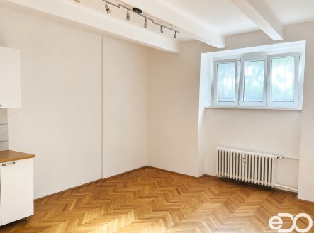 Pronájem bytu, 1+1, 51 m²