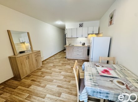 Pronájem bytu, 1+1, 44 m²