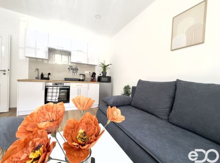 Pronájem bytu, 1+kk, 28 m²