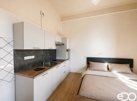 Pronájem bytu, 1+kk, 30 m²