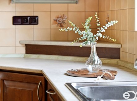 Prodej domu/vily, 300 m²