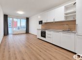 Pronájem bytu, 1+kk, 38 m²