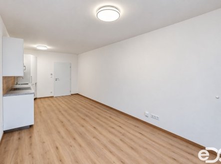 Pronájem bytu, 1+kk, 38 m²