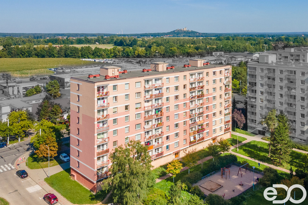 d2-kopie.jpg