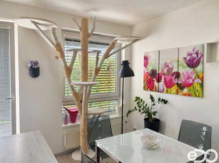 Pronájem bytu, 2+kk, 54 m²