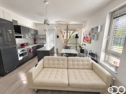 Pronájem bytu, 2+kk, 54 m²