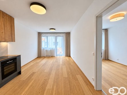 Pronájem bytu, 2+kk, 61 m²