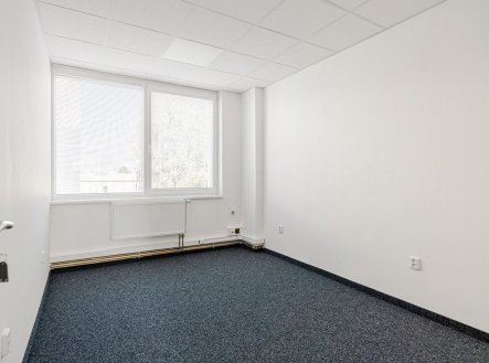 Pronájem kanceláře, 30 m²