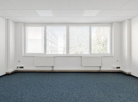 Pronájem kanceláře, 30 m²