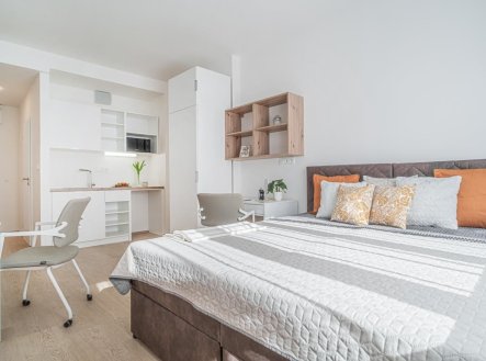 Pronájem bytu, 1+kk, 20 m²