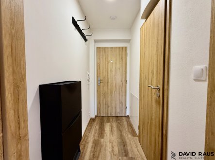 Pronájem bytu, 1+kk, 30 m²