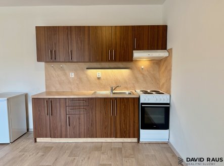 Pronájem bytu, 1+kk, 37 m²
