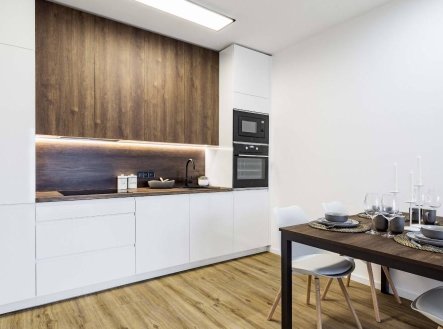 Prodej bytu, 2+kk, 47 m²