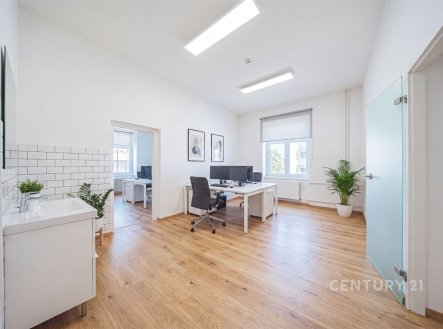 Prodej obchodní prostory, 120 m²