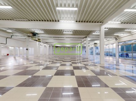 Pronájem obchodní prostory, 698 m²