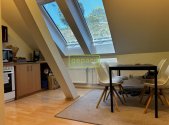 Pronájem bytu, 1+1, 55 m²