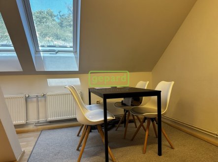 Pronájem bytu, 1+1, 55 m²