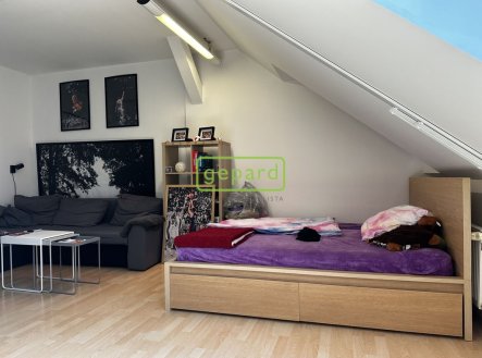 Pronájem bytu, 1+1, 55 m²