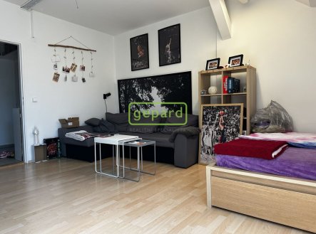 Pronájem bytu, 1+1, 55 m²