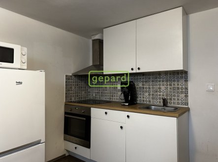 Prodej bytu, 1+1, 45 m²