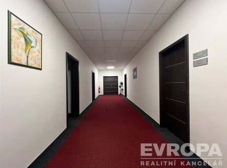 Pronájem kanceláře, 18 m²