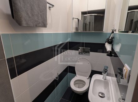 Pronájem bytu, 1+kk, 9 m²