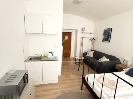 Pronájem bytu, 1+kk, 20 m²