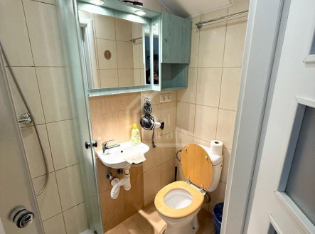 Pronájem bytu, 1+kk, 20 m²