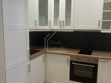 Pronájem bytu, 1+1, 46 m²