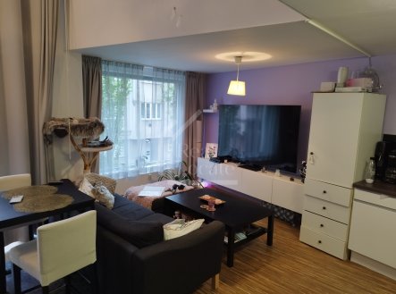 1685479694416 | Pronájem bytu, 2+kk, 46 m²