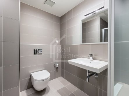 Pronájem bytu, 1+kk, 40 m²