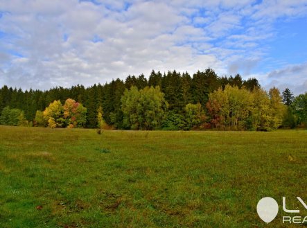 Prodej pozemku, les, 9 184 m²