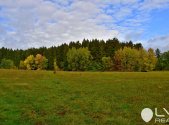 Prodej pozemku, les, 9 184 m²