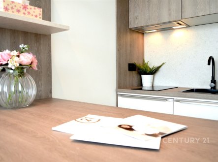Pronájem bytu, 1+kk, 29 m²