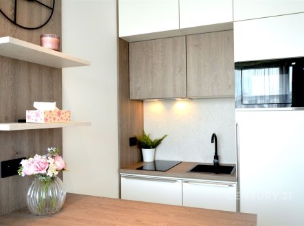 Pronájem bytu, 1+kk, 29 m²