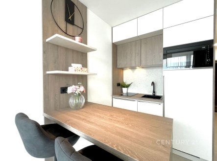 Pronájem bytu, 1+kk, 29 m²