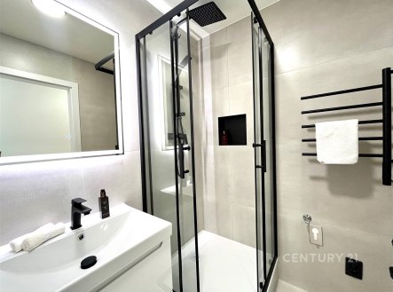 Pronájem bytu, 1+kk, 29 m²