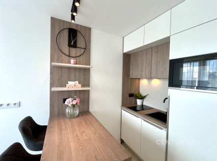 Pronájem bytu, 1+kk, 29 m²
