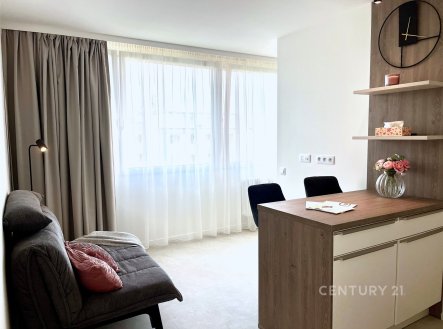 Pronájem bytu, 1+kk, 29 m²