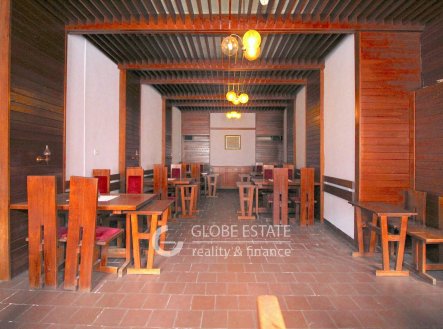 Prodej domu/vily, 450 m²
