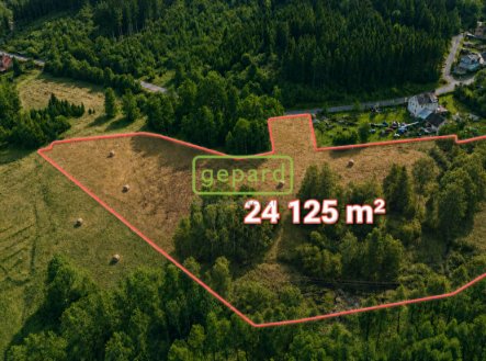 Prodej - pozemek pro bydlení, 24 125 m² obrázek