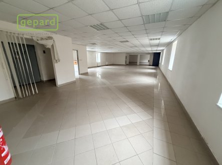 Pronájem obchodní prostory, 305 m²